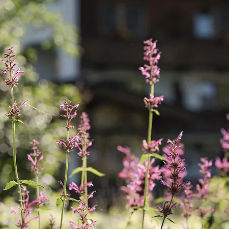 Biohotel Rastbichlhof 4*