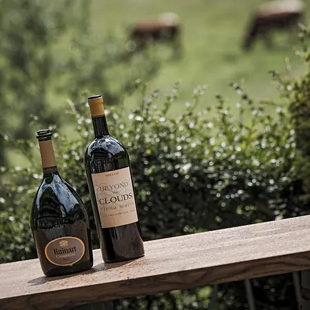 Biohotel Rastbichlhof