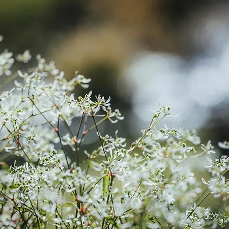 Biohotel Rastbichlhof Szálloda 4*