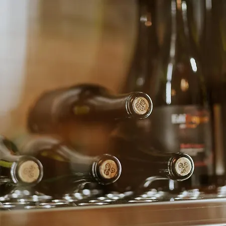 Biohotel Rastbichlhof 4* 施图拜河谷新施蒂夫特