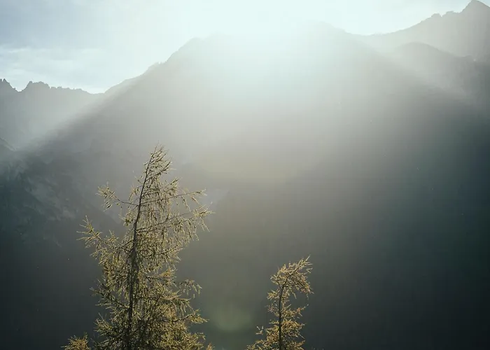 酒店 Biohotel Rastbichlhof