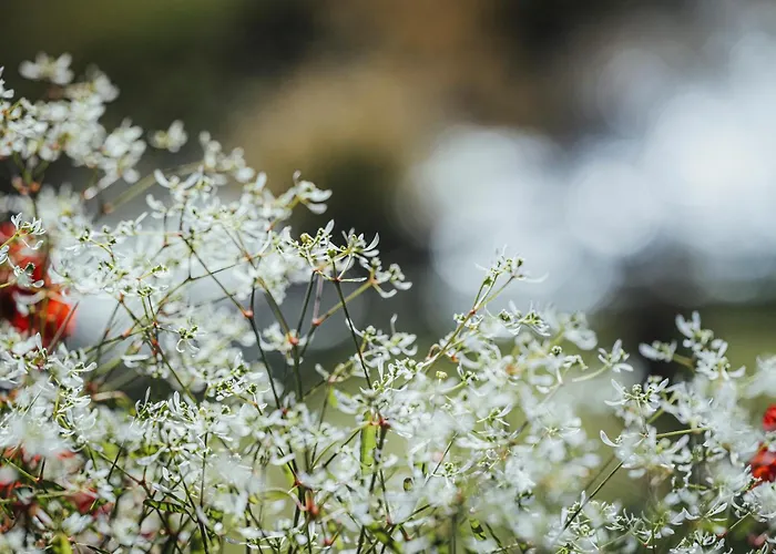 Biohotel Rastbichlhof 酒店 4*