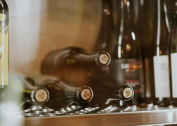 Biohotel Rastbichlhof 4* 施图拜河谷新施蒂夫特